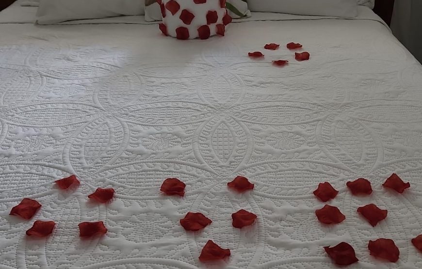 Orchid Villa – 1 Bedroom Studio Suite