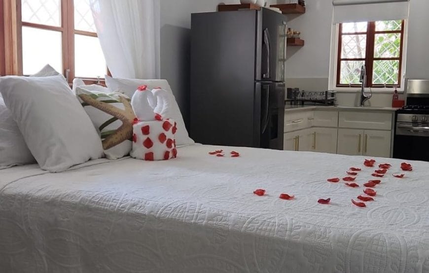 Orchid Villa – 1 Bedroom Studio Suite