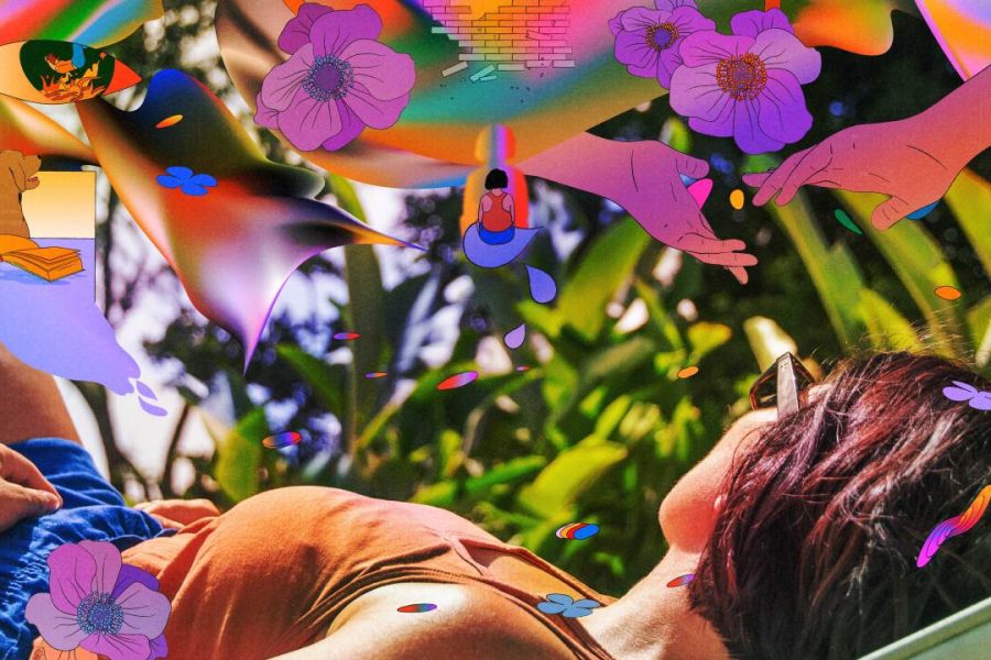 Psilocybin-Assisted Journey (Private or Group)